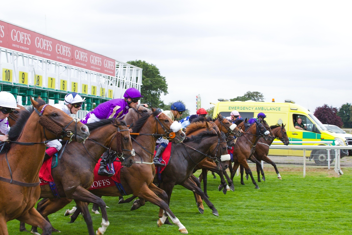 Horse Racing: How Handicaps Work